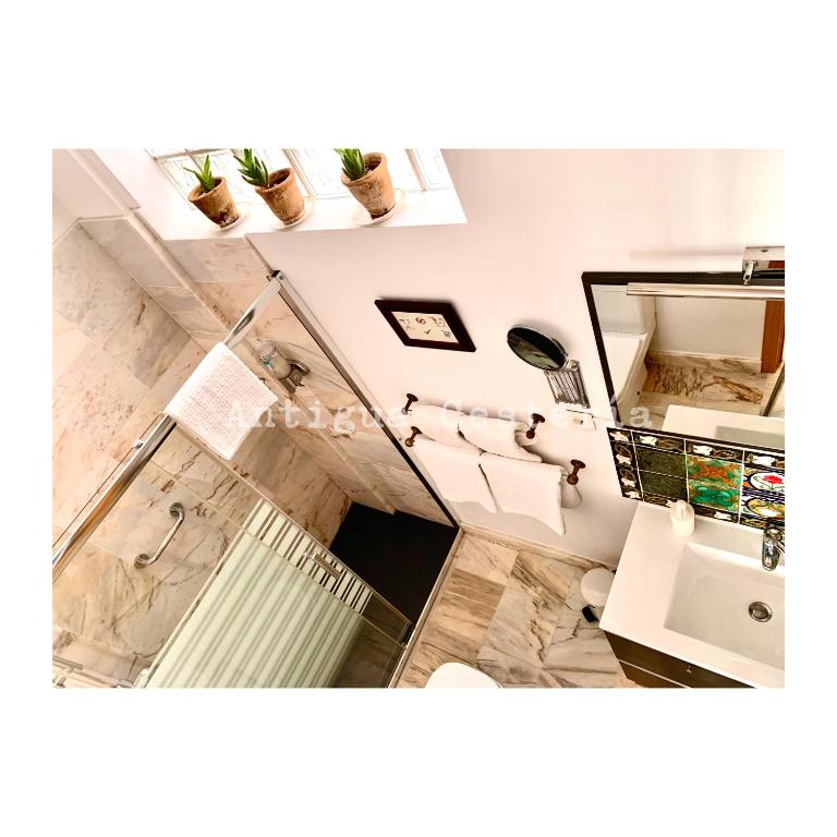 Antigua Cestería - 3