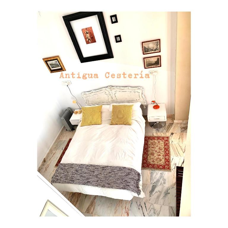 Antigua Cestería - 2