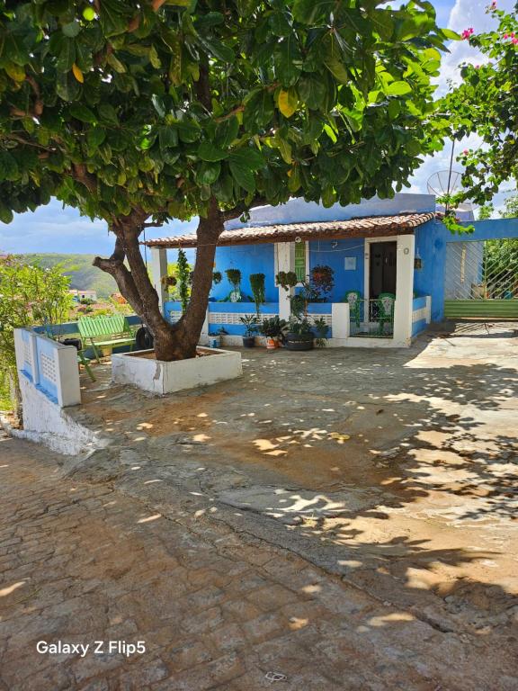 a house with a tree in front of it at Pousada Tereza in Piranhas