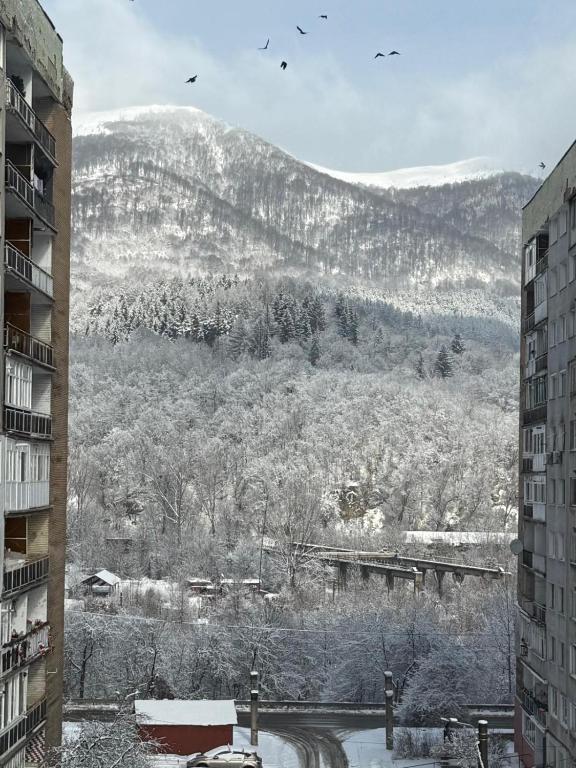 a view of a snow covered mountain from a building at ADA Residence Lupeni acces rapid catre Straja Ski Resort in Lupeni