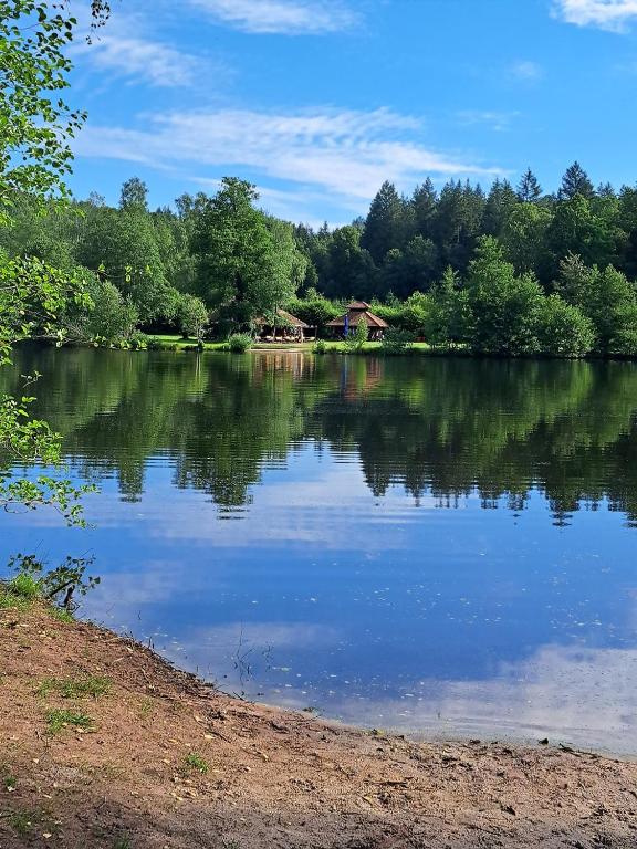 a lake with a house in the middle of it at Wasgauer Felsen und Seenland in Ludwigswinkel