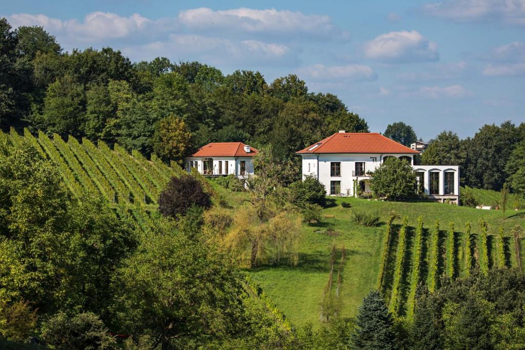 una casa blanca en una colina junto a un viñedo en Hirschmugl Domaene Seggau GmbH, en Leibnitz
