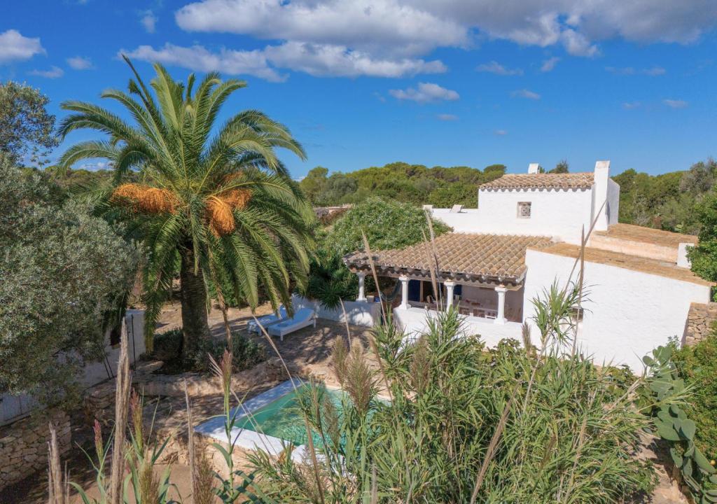 a house with a palm tree and a swimming pool at Can Toni Platera in Sant Francesc Xavier