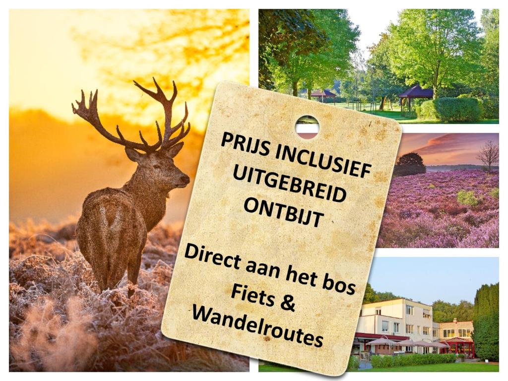 a collage of pictures with a picture of a deer at Parkhotel De Bosrand in Ede