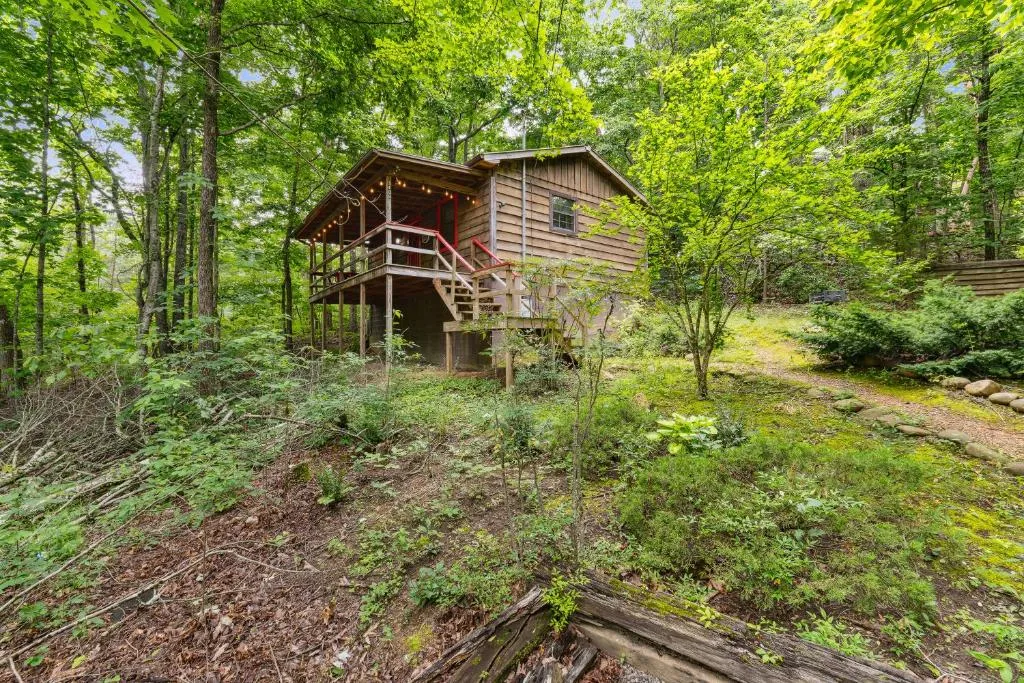 BEAR BOTTOMS Studio Twin Cabin HotTub TV Wifi