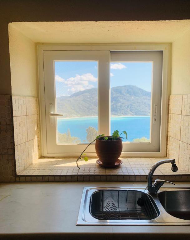 a window in a kitchen with a sink and a plant at ventus in Afionas