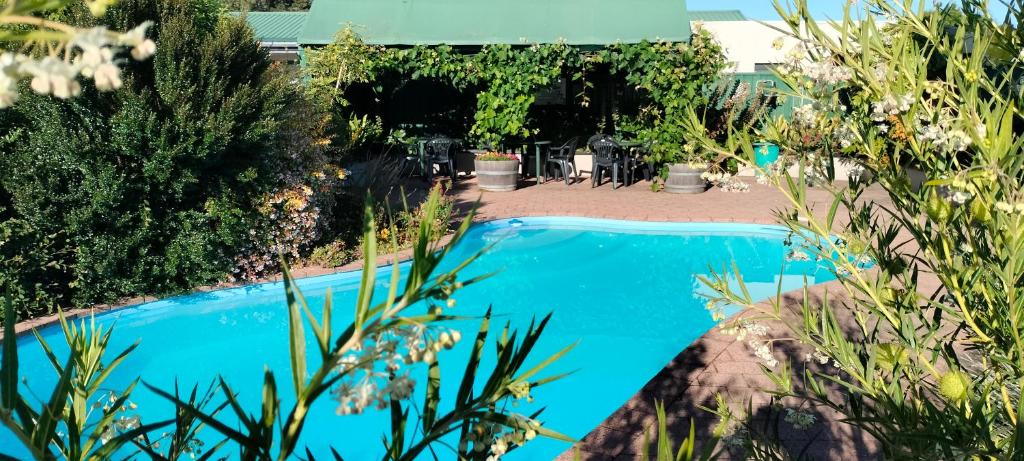 a swimming pool in a garden with plants at Commodore Court Motel in Blenheim