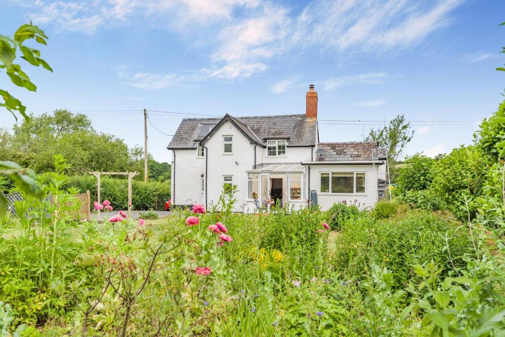 an old white house with a field of flowers at 2 Bed in Yatton oc-s32603 in Leinthall Earls