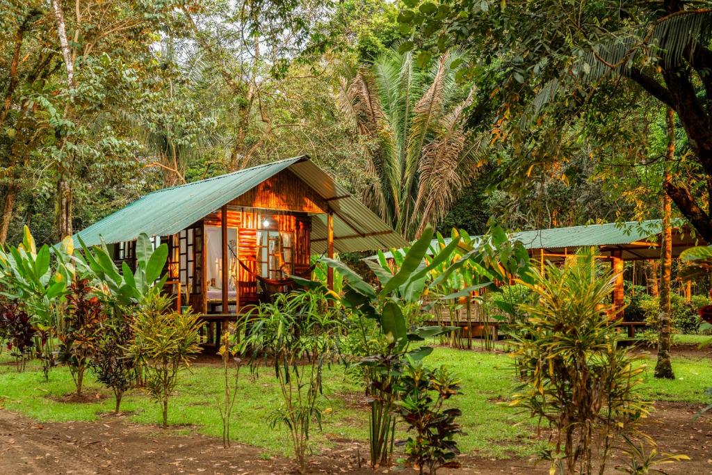 a wooden house in the middle of a forest at Playa Ganadito Ecolodge in Drake