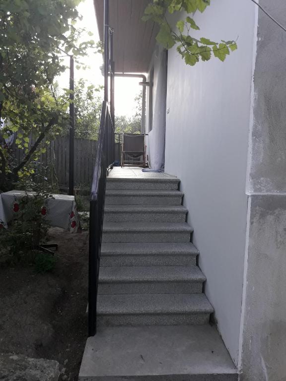 Fotografie z fotogalerie ubytování zeiko s guesthouse v destinaci Bordžomi