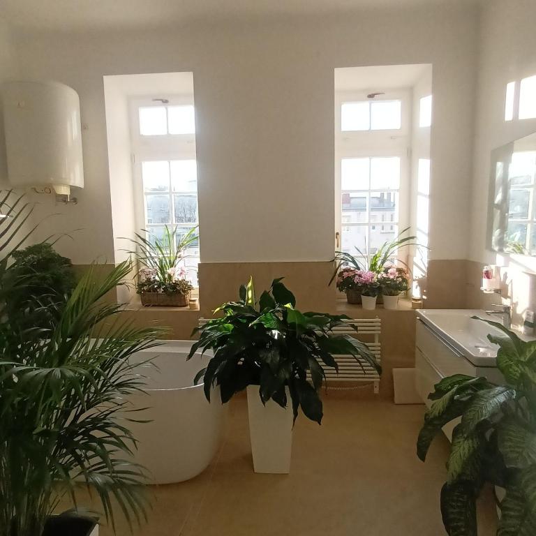 a bathroom with potted plants in a room with windows at Rooms in Maribor Centre in Maribor