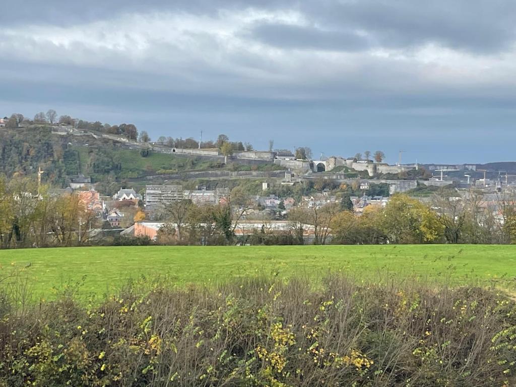 a green field with a city in the background at Studio AG in Mellet