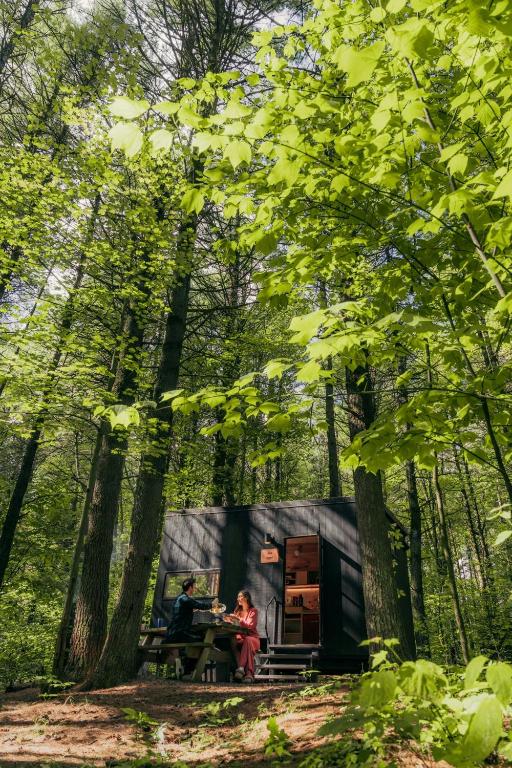 two people sitting at a table in a cabin in the woods at Postcard Cabins Kettle River, Outdoor Collection by Marriott Bonvoy in Willow River
