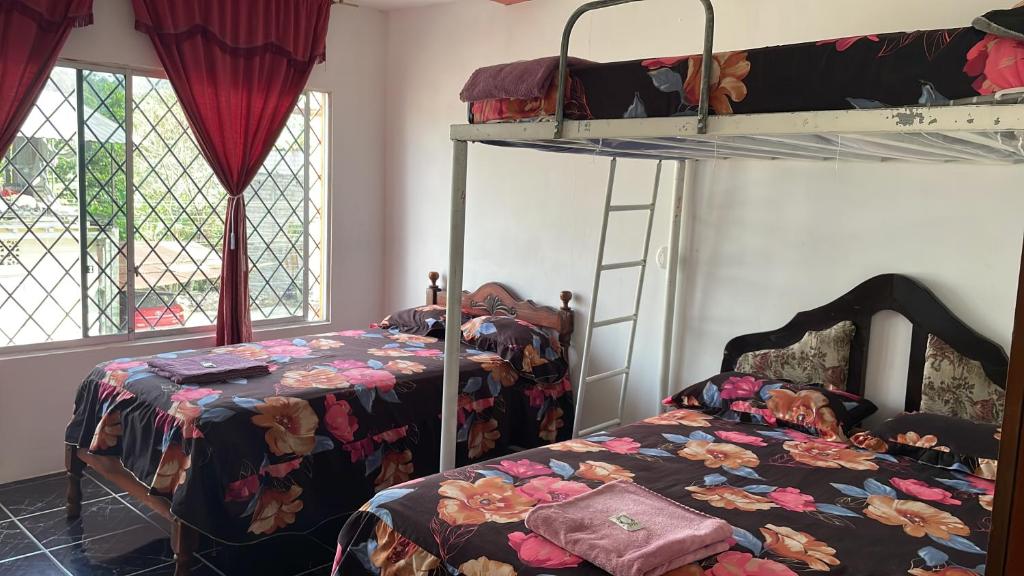 a bedroom with two beds and a bunk bed at Hotel las palmas in Rosa Zárate