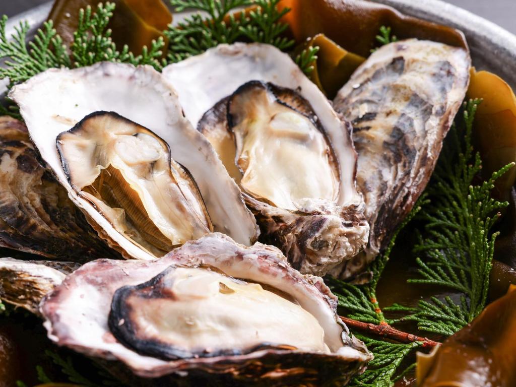 Vergrößerte Ansicht