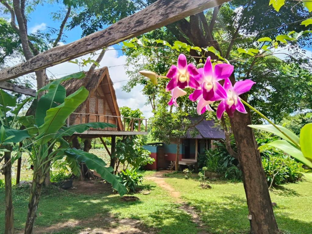 Fandee Island - Treehouses, Tiny Houses & Zipline - Tad Lo, Boloven Loop Pakse