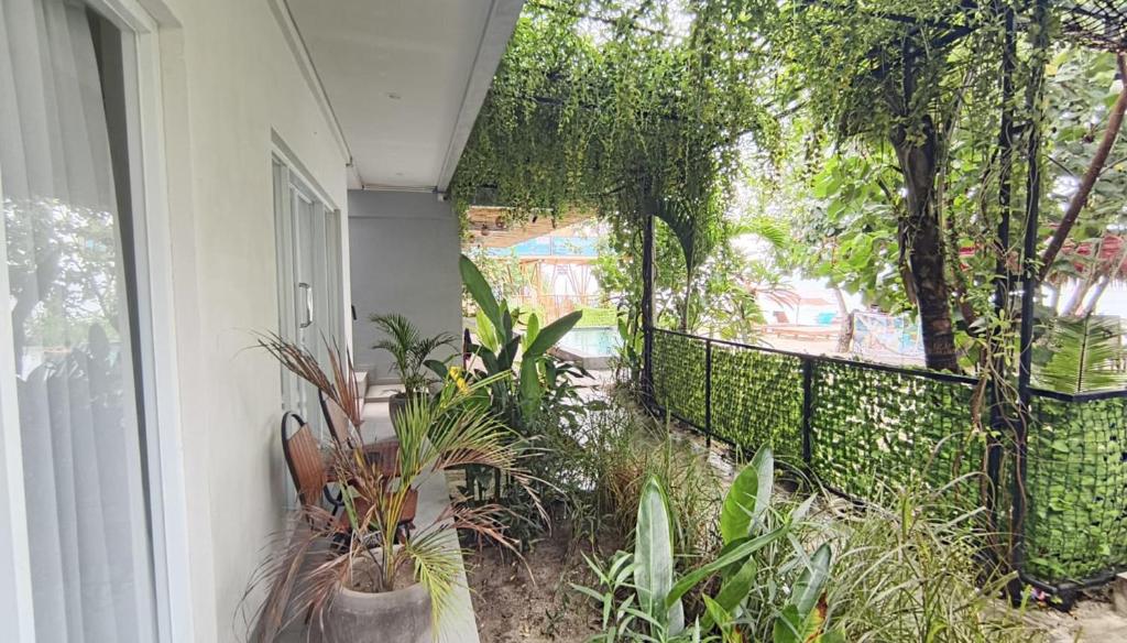 Lushy Hostel Nusa Penida - 16