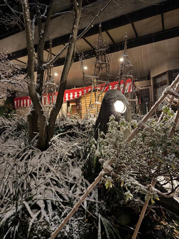 Vergrößerte Ansicht