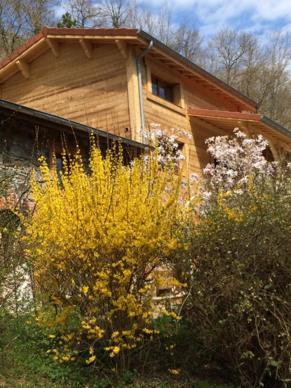 een huis met gele bloemen ervoor bij Les Sittelles de Bamboche in Saint-Symphorien-sur-Coise