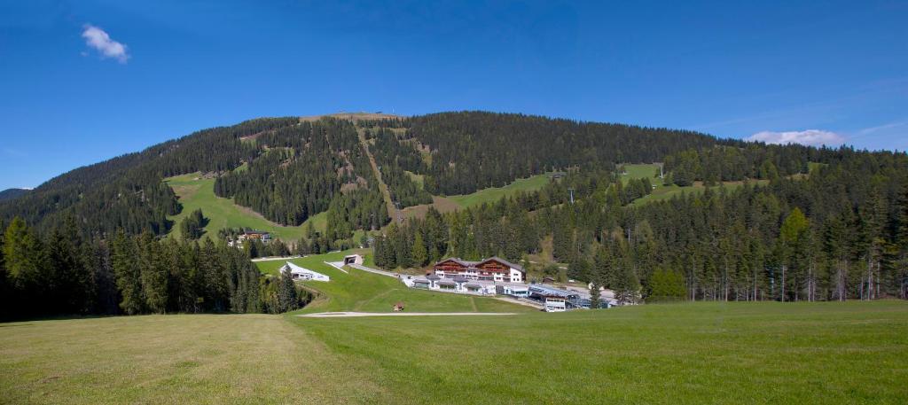 Příroda nedaleko hotelu