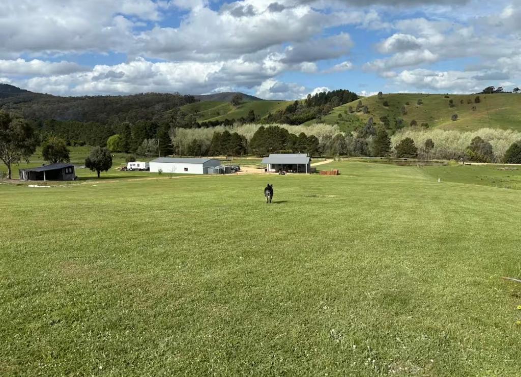 a person is standing in a large grass field at BrinCole - Pet-Friendly, Huge Deck with Epic Views & Fire Pit in Bonnie Doon
