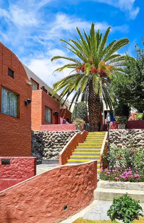a palm tree and stairs in front of a building at La Maison d'Elise in Arequipa