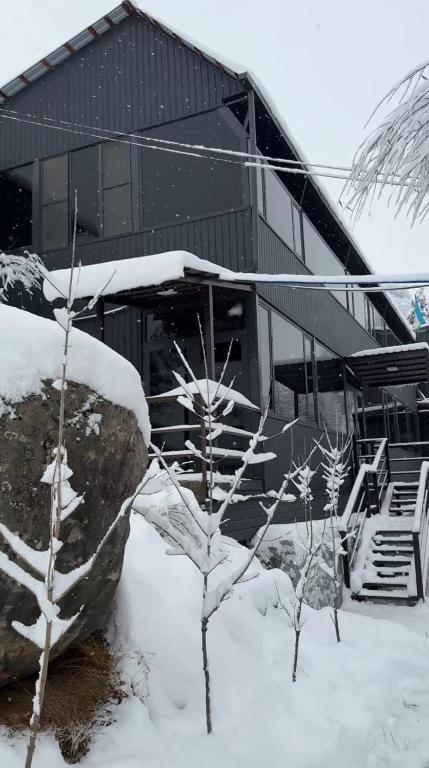 a house covered in snow with trees in front of it at Green Veranda in Nurekata