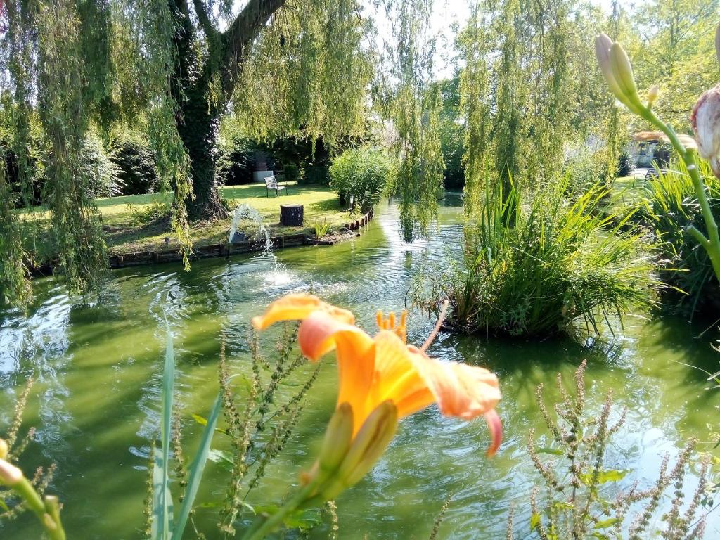 a garden with a pond and a flower in the foreground at La fermette du Marais in Rue