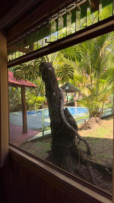 a window with a view of a swimming pool at Cabañas Luz de Luna in Llano Grande