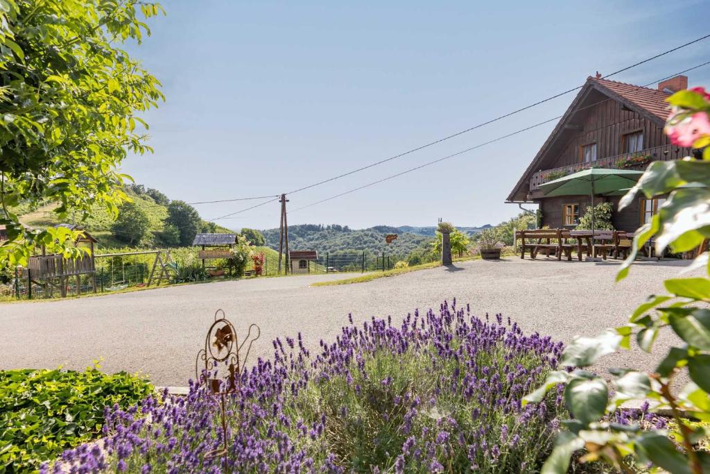a garden with purple flowers in front of a house at Weingut & Buschenschank Pölzl in Großklein