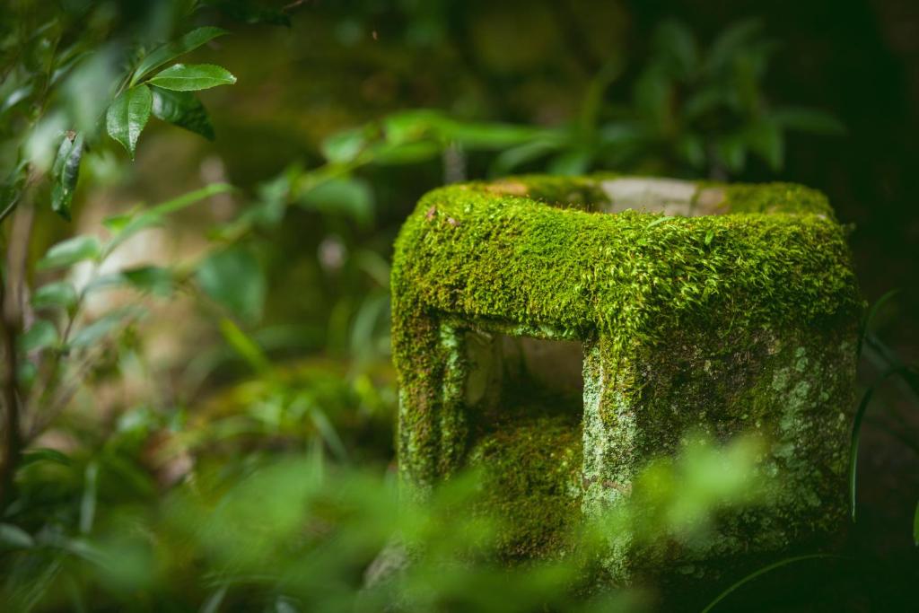 Fotografie z fotogalerie ubytování Funaya v destinaci Macujama