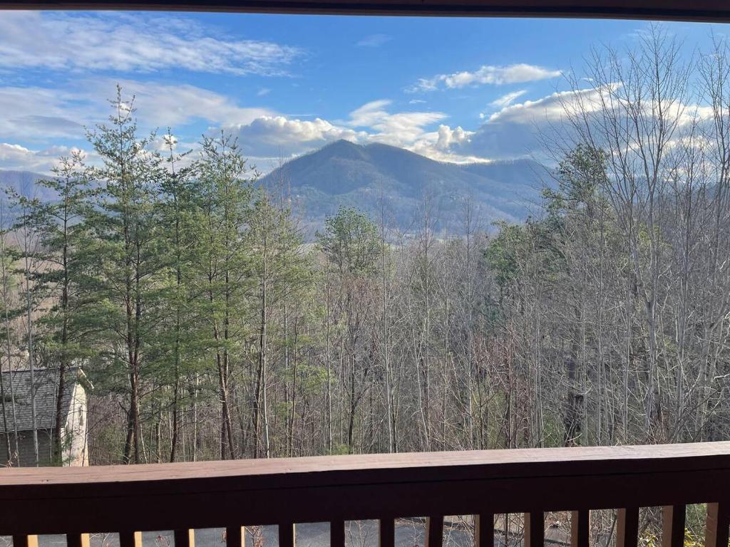 a view of a mountain from a bench at Blushing Bear Stunning Views in Sevierville