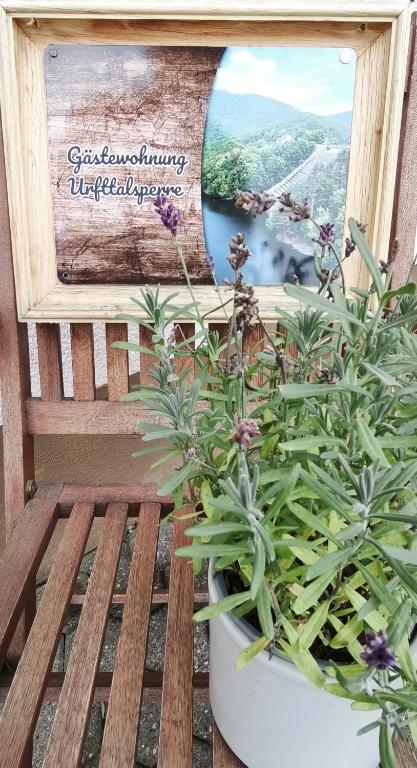 a potted plant sitting on a bench next to a picture at Gästewohnung Urfttalsperre in Schleiden