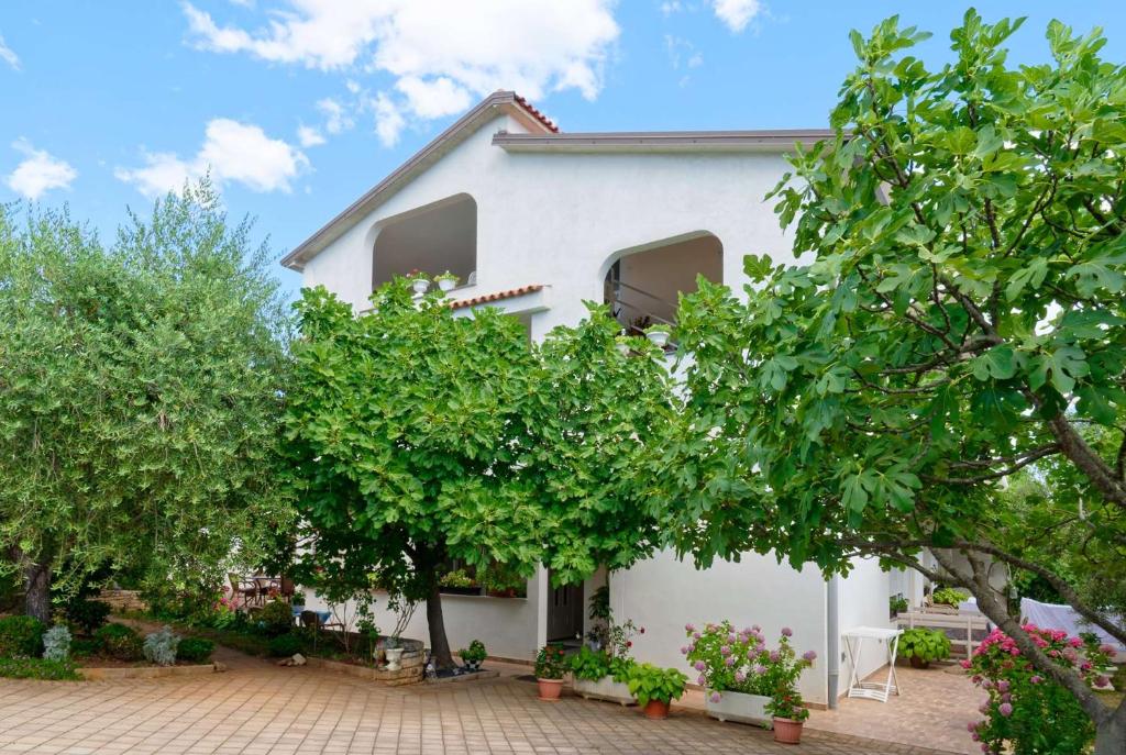 Apartments Susie by Rent Istria