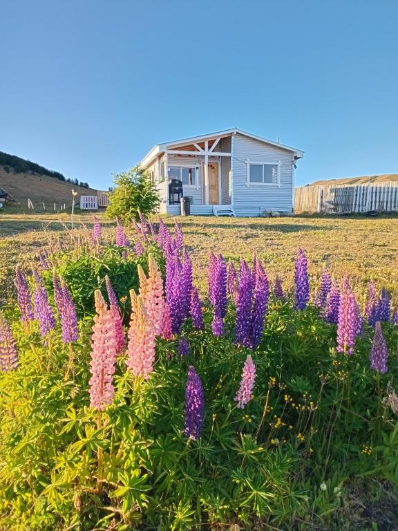 Cabañas La Frontera.