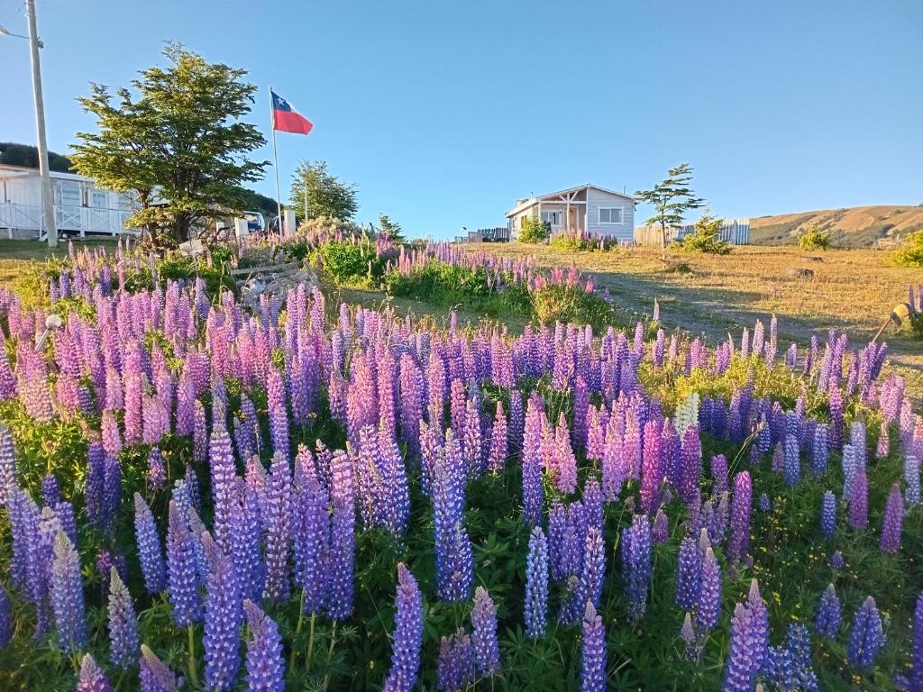 Cabañas La Frontera.
