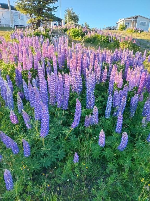 Cabañas La Frontera.