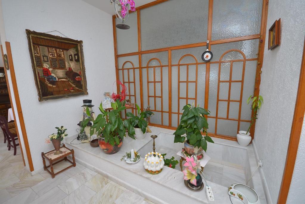 Fotografie z fotogalerie ubytování Hotel Vila Margot v destinaci Herceg-Novi