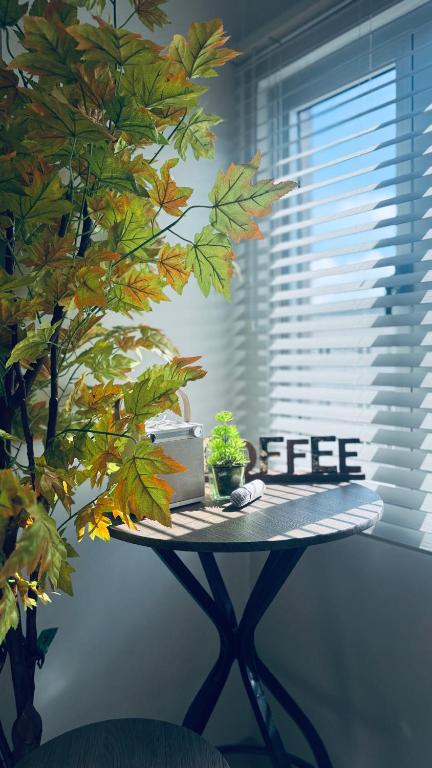 a table with a laptop and a potted plant on it at Unwind with Peace at Cheer Residences SM Marilao-Philippine Arena in Marilao