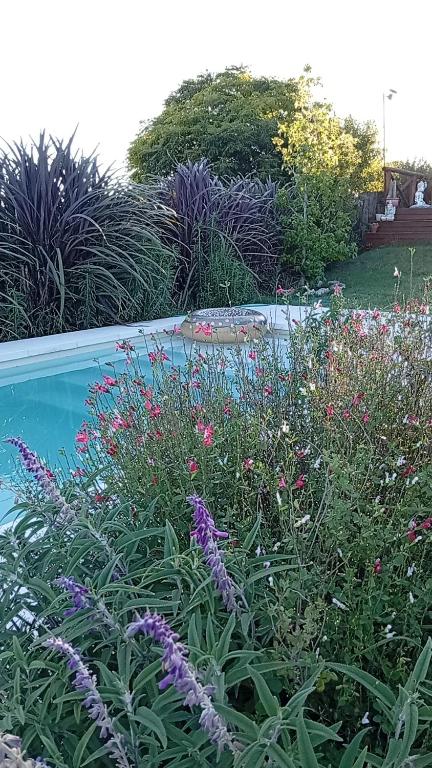 a garden with a bunch of flowers next to a pool at Casa Sol Naciente in Villa Santa Cruz del Lago
