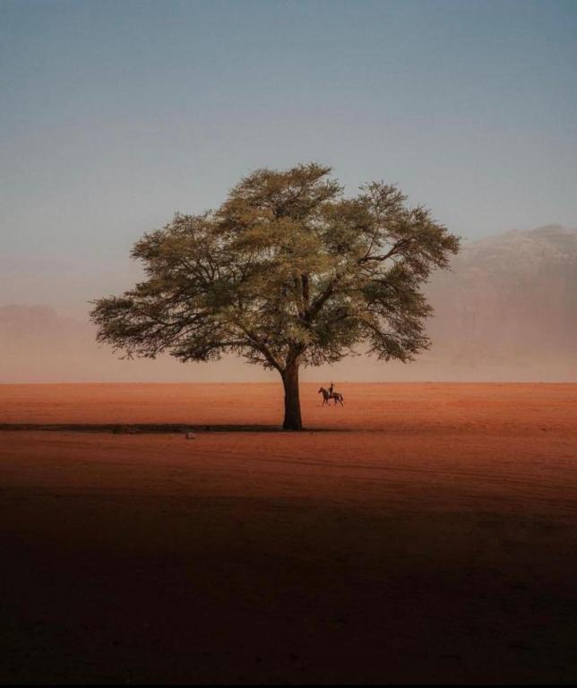 a tree with a person and a horse under it at RUM ELEIAN lUXURY CAMP in Wadi Rum