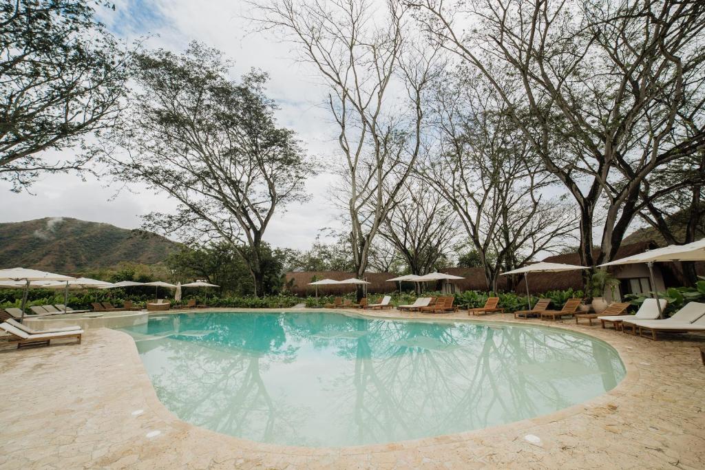 Holistic EcoHotel