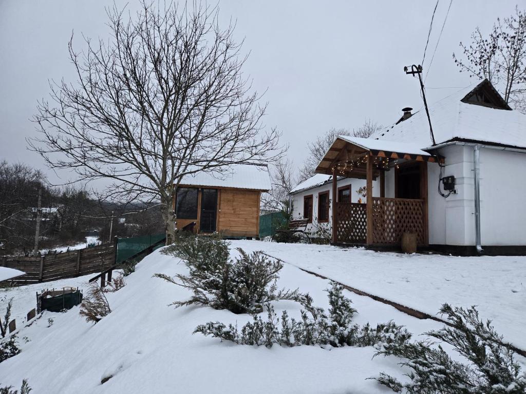 a house covered in snow next to a house at Садиба У баби Христі in Shupiki