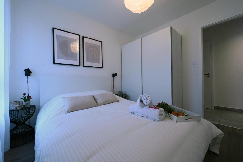 Bright Apartment 5 min from BASEL with Balcony & Free Private Parking – photo 11