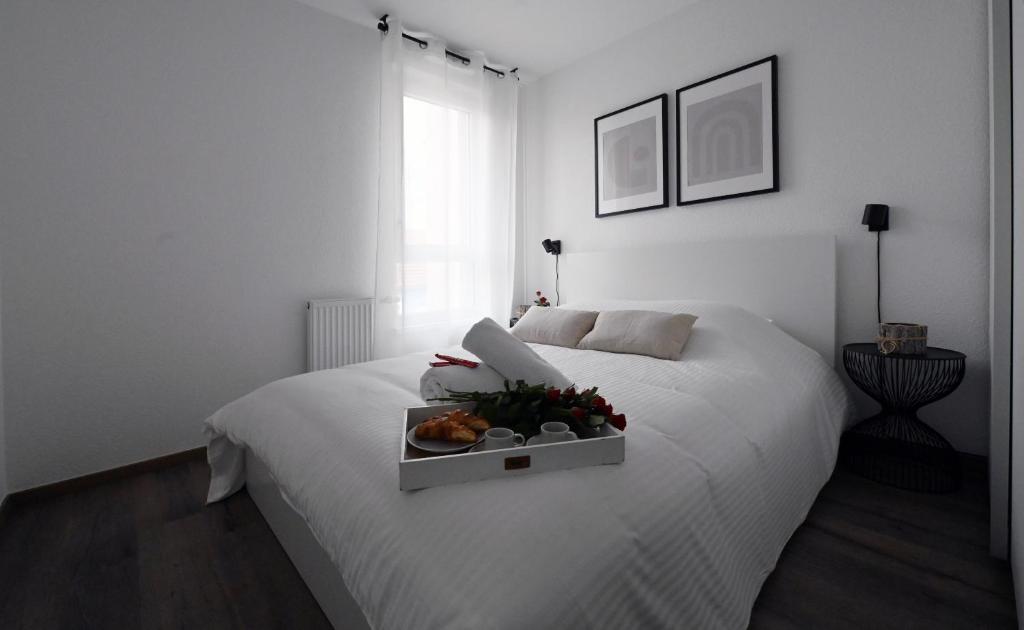 Bright Apartment 5 min from BASEL with Balcony & Free Private Parking – photo 12