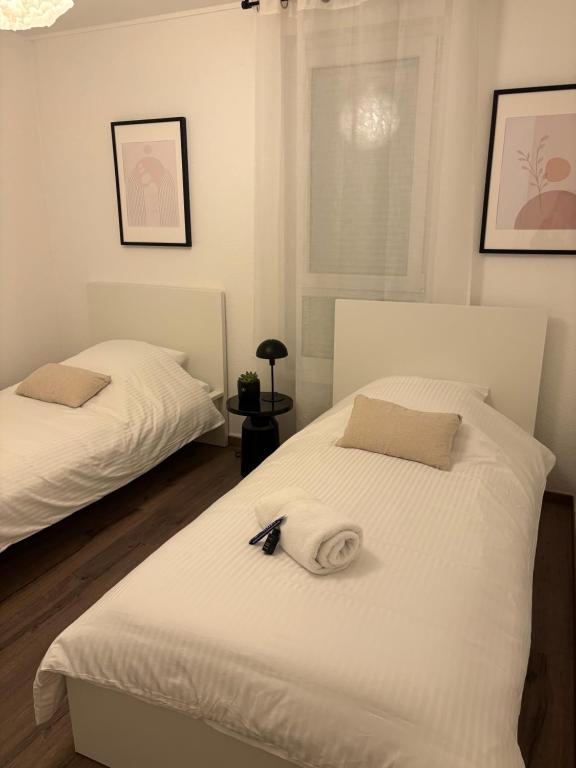 Bright Apartment 5 min from BASEL with Balcony & Free Private Parking – photo 14