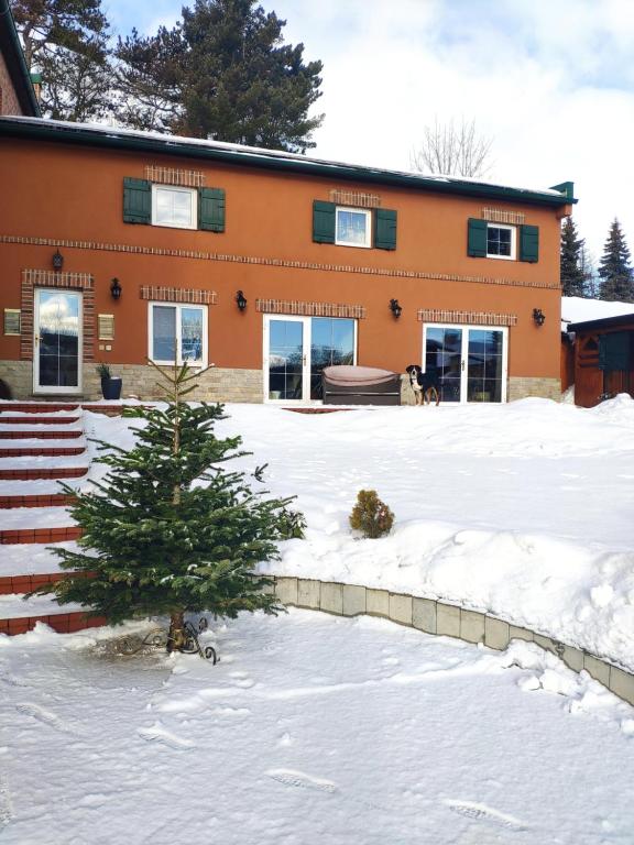 a house with a christmas tree in the snow at Apartmán pri vinotéke in Kežmarok