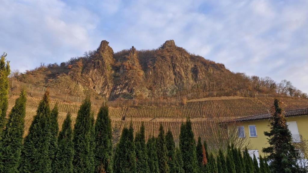 a mountain with trees in front of a house at Historische Villa mit Drachenfels-Blick in Bad Honnef am Rhein