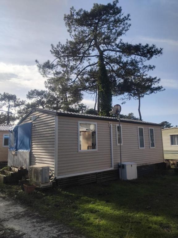 a small house with a tree on top of it at Le mobil home bleu ! Camping Naturiste in Montalivet-les-Bains