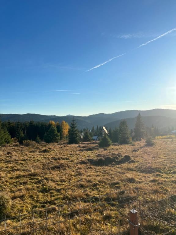 a field of grass with trees in the distance at Cabana Lake View in Bălceşti
